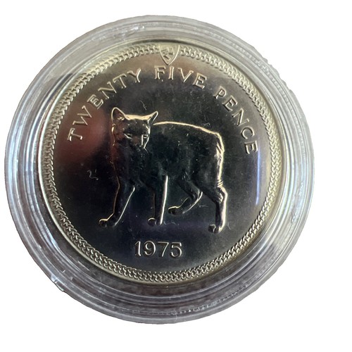 1975 isle man pence coin - 1975, 25