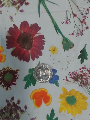 Isle man 10p - isle,